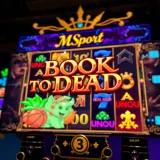 Screenshot showcasing the vibrant interface and symbols of MSport's Book of Dead slot game